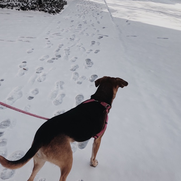 Helpful Closet Info! - Picture 13 of 13